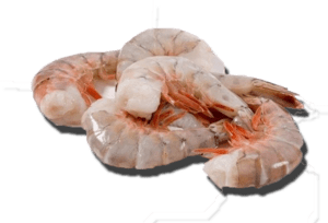 Shrimp - Gulf Shrimp logo
